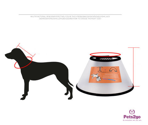 4XL Adjustable 1kg Pet Recovery Collar For Adult Cats And Small Dogs